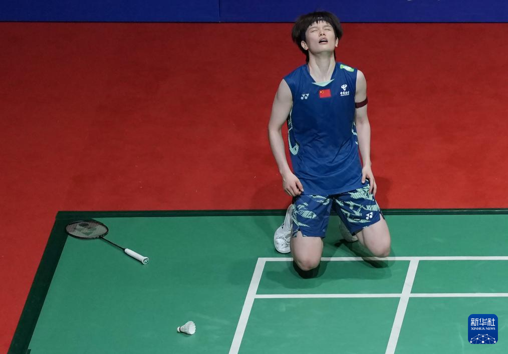 丹可能退役 丹可能退役