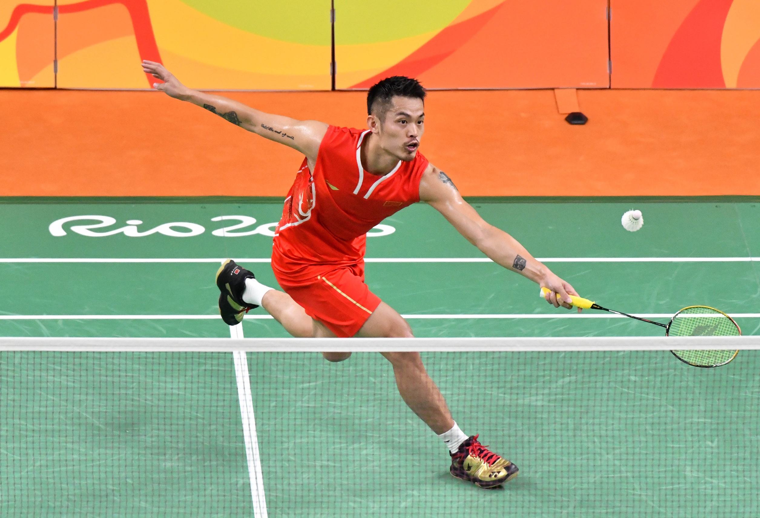 建立了稳固 建立了稳固